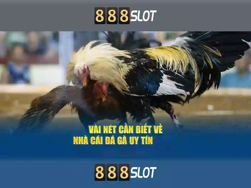 https://geretire.com/images/text/888slot/888slot-text260305404.webp