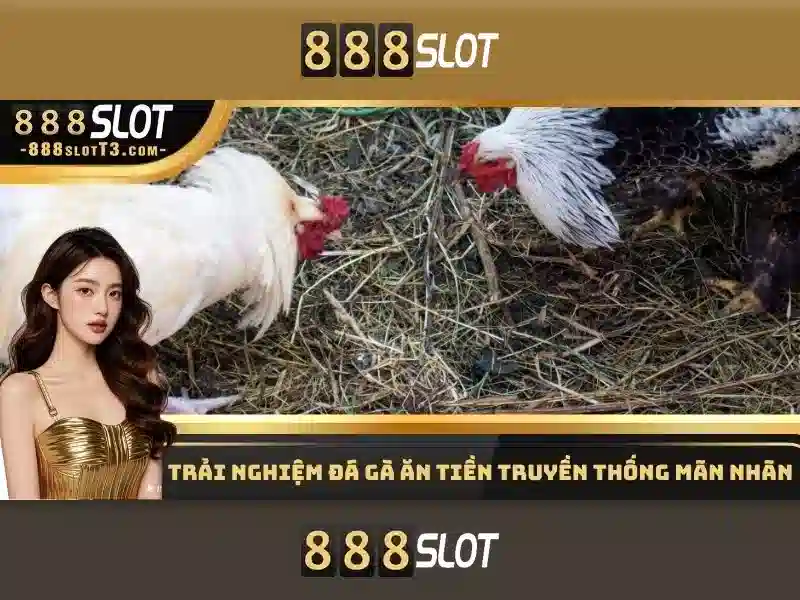 https://geretire.com/images/text/888slot/888slot-text260305595.webp