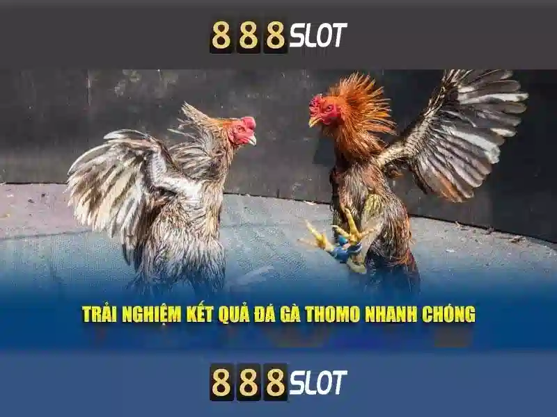 https://geretire.com/images/text/888slot/888slot-text260305792.webp