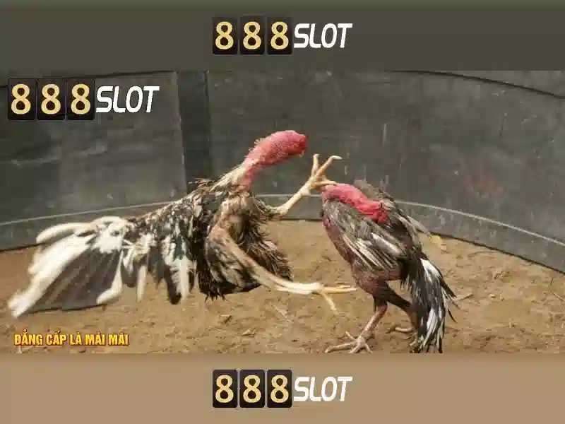 888slot: Đánh giá và trải nghiệm casino trực tuyến hàng đầu