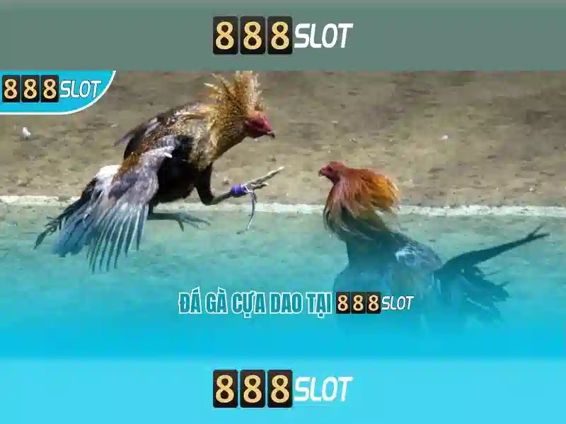 888Slot - Đánh giá chi tiết nền tảng slot trực tuyến nổi bật