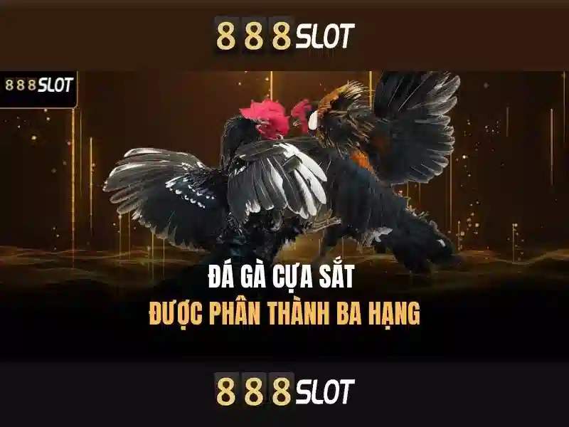 https://geretire.com/images/text/888slot/888slot-text2603301876.webp