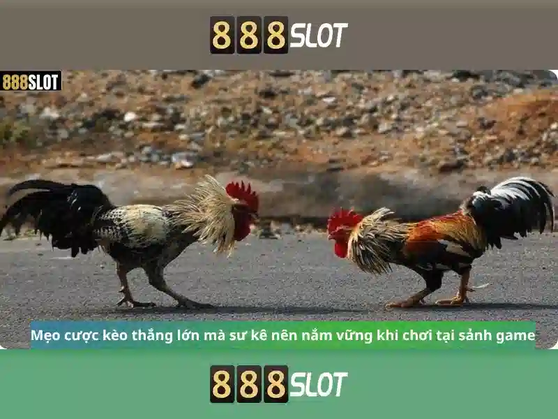 https://geretire.com/images/text/888slot/888slot-text260330367.webp