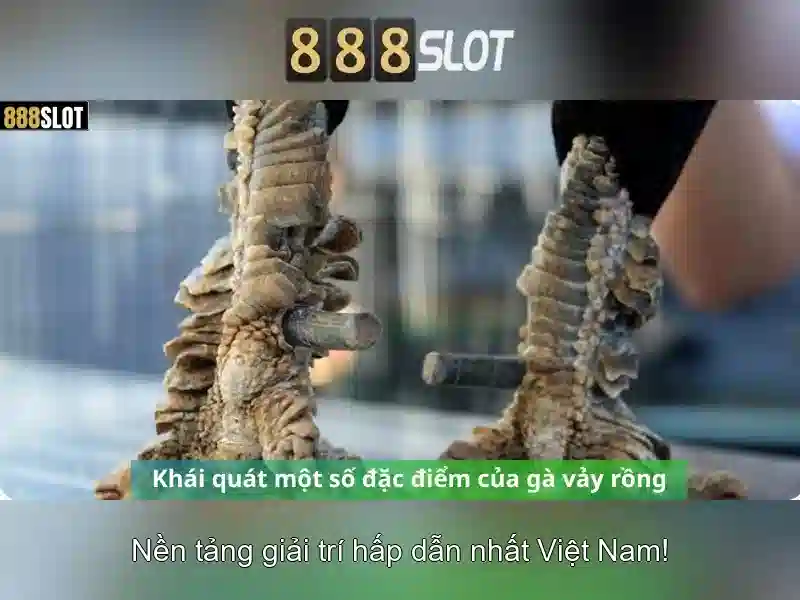 https://geretire.com/images/text/888slot/888slot-text260331138.webp