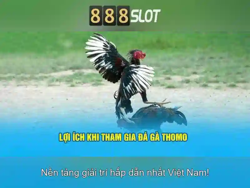 https://geretire.com/images/text/888slot/888slot-text2603312273.webp